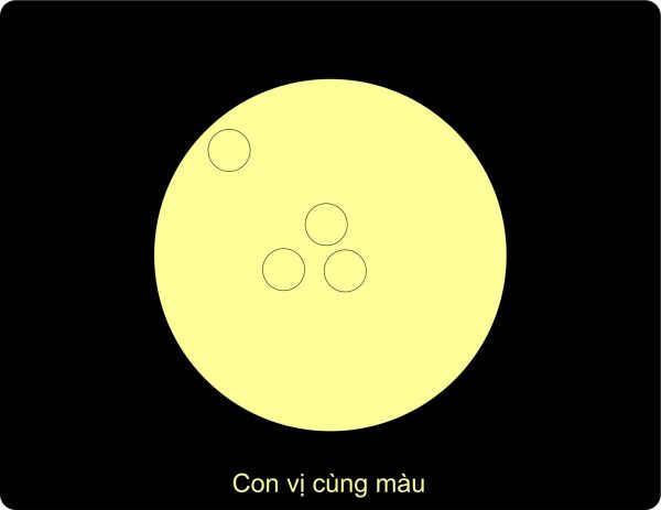 1 con vị nằm sát mép đĩa, 3 con nằm trong lòng đĩa