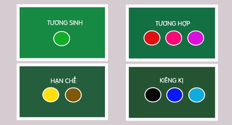 Tuoi Dan Hop Mau Gi 3